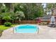 Inviting in-ground pool surrounded by lush greenery and outdoor seating area at 129 Dunbury Dr, Summerville, SC 29485