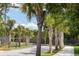 Street view with palm trees lining the road at 1754 Cultivation Ln # 513, Mount Pleasant, SC 29466