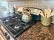 Close up of a gas cooktop with granite countertops and decorative kitchen accessories at 188 Donning Dr, Summerville, SC 29483