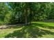 Lush, green backyard with scattered trees and a small bird bath at 2026 Thornhill Dr, Summerville, SC 29485
