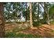 Hammock between two large trees in the yard, facing the marsh at 2217 Ramsay St, Charleston, SC 29412
