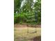 Tree swing in the backyard of a lush, wooded property at 2217 Ramsay St, Charleston, SC 29412