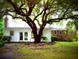 Large backyard featuring a beautiful mature tree providing ample shade to the home at 2734 Mona Ave, Charleston, SC 29414