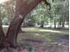 Expansive backyard featuring mature trees and a spacious grassy area at 2734 Mona Ave, Charleston, SC 29414