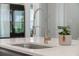 Close-up of a modern kitchen sink with a stainless steel faucet and white countertops, complemented by a potted plant at 2981 Sturbridge Rd, Mount Pleasant, SC 29466