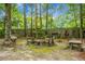 Rustic outdoor area with a unique stone table and bench set, blending seamlessly with nature at 427 Grape Arbor Drive Dr, Summerville, SC 29486