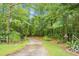 Gravel driveway with an overgrown lawn on both sides lined with tall trees at 427 Grape Arbor Drive Dr, Summerville, SC 29486