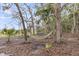 Serene backyard retreat featuring a hammock strung between mature trees at 4352 Park Island Rd, Hollywood, SC 29449