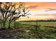 Beautiful sunset landscape with lush greenery and trees, showcasing the natural beauty of the area at 4352 Park Island Rd, Hollywood, SC 29449