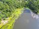 Scenic aerial view of the lake with lily pads at 617 Deepwood Ct, Moncks Corner, SC 29461
