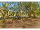 Lush backyard landscape featuring mature trees, a hammock, and natural surroundings at 6464 Saint Anthony Dr, Meggett, SC 29449