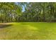 Lush backyard landscape featuring mature trees, natural wooded area and green grass at 6464 Saint Anthony Dr, Meggett, SC 29449