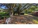 Lawn and yard, featuring several trees, overgrown groundcover, and toys strewn about at 116 Stillfield Dr, Moncks Corner, SC 29461
