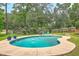 Beautiful kidney-shaped pool surrounded by a concrete patio and lush greenery at 133 Axtell Dr, Summerville, SC 29485