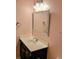Powder room with decorative framed mirror, vanity, and overhead lighting at 133 Pelican Lane, Summerville, SC 29485