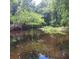 Scenic pond with trees reflecting on the water's surface, creating a serene atmosphere at 133 Pelican Lane, Summerville, SC 29485