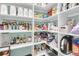 Walk-in pantry with extensive shelving and storage solutions at 1728 Wellstead St, Mount Pleasant, SC 29466