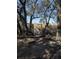 Scenic boardwalk view surrounded by lush trees and foliage with a glimpse of the marsh in the distance at 2026 Sea Water Dr, Charleston, SC 29412