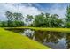 Scenic pond view surrounded by lush greenery and mature trees, creating a serene and tranquil neighborhood setting at 2800 River Vista Way, Mount Pleasant, SC 29466