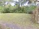 Spacious backyard with plenty of green space and some trees at 3034 Maybank Hwy, Johns Island, SC 29455
