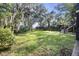 Large backyard with mature trees and lush lawn, surrounded by natural landscaping at 4601 Apple St, North Charleston, SC 29405