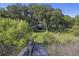 Scenic backyard with mature trees, and inviting seating area, providing a tranquil retreat at 4601 Apple St, North Charleston, SC 29405