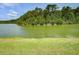 Scenic view of pond surrounded by lush greenery and trees, showcasing serene backyard at 7035 Pumpkinseed Dr, Johns Island, SC 29455