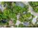 Aerial view of a home surrounded by lush greenery and a tranquil pond at 800 Heyward Cove Pl, Charleston, SC 29412