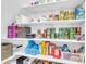 Organized pantry with ample shelving for food storage and household items at 9133 Markleys Grove Blvd, Summerville, SC 29485
