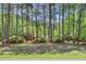 Secluded property with a picturesque tree-lined yard, offering a sense of privacy and serenity at 107 Kimberwicke Dr, Summerville, SC 29483