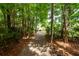 Tree covered community walking path that leads to a building at 1121 Basildon Rd, Mount Pleasant, SC 29466