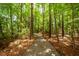 Scenic wooded walking path through a lush green community at 1121 Basildon Rd, Mount Pleasant, SC 29466