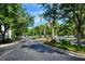 Lush street view lined with trees and tropical plants at 1300 Park West Blvd # 519, Mount Pleasant, SC 29466