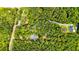 Aerial view of a home with lush, mature tree coverage, a pond and long driveway at 1384 Tibwin Rd, McClellanville, SC 29458