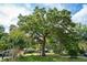 Expansive, lush green yard featuring a majestic and mature tree providing plenty of shade at 1975 Fruitwood Ave, Charleston, SC 29414