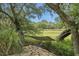 Hammock strung between trees in a peaceful backyard setting, perfect for relaxation at 228 Beresford Creek St, Charleston, SC 29492