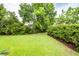 Well-maintained backyard with green lawn and privacy landscaping at 2632 Alderly Ln, Mount Pleasant, SC 29466