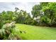 Expansive backyard featuring lush lawn and privacy landscaping at 2632 Alderly Ln, Mount Pleasant, SC 29466