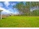 Lush backyard with mature trees provides privacy and a serene setting, perfect for outdoor activities and relaxation at 4374 Cotton Flat Rd, Summerville, SC 29485