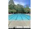 Beautiful community pool with plenty of seating and a lush tree line to provide shade at 5013 Franconia Dr, Summerville, SC 29485