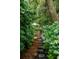Secluded garden path surrounded by lush greenery and vibrant hydrangea bushes, creating a tranquil escape at 907 High Nest Ln, Charleston, SC 29412