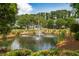 Scenic pond with a fountain, surrounded by lush greenery and charming neighborhood homes at 907 High Nest Ln, Charleston, SC 29412