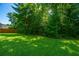 Lush backyard with vibrant green grass and mature trees at 9710 Table Mountain Ln, Ladson, SC 29456