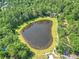 Aerial view of the community pond surrounded by lush greenery, showcasing the tranquil setting at 100 Dacs Ln, Summerville, SC 29483