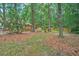 Secluded backyard featuring mature trees and meticulous landscaping at 100 Dacs Ln, Summerville, SC 29483