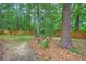 Backyard with mature trees, plants, and a sturdy wooden fence ensuring privacy at 100 Dacs Ln, Summerville, SC 29483