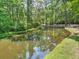Scenic pond featuring a wooden bridge and lush greenery, enhancing the community's natural beauty at 100 Dacs Ln, Summerville, SC 29483