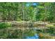 Scenic wooden bridge across a calm pond, reflecting the sky and trees, enhancing the community's appeal at 100 Dacs Ln, Summerville, SC 29483
