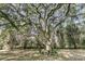 Mature trees shade a well-maintained yard, perfect for relaxation and outdoor activities at 1085 Harts Bluff Rd, Wadmalaw Island, SC 29487