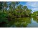 Scenic view of a serene pond surrounded by lush green trees and under a partly cloudy blue sky at 1143 Sea Eagle Watch, Charleston, SC 29412